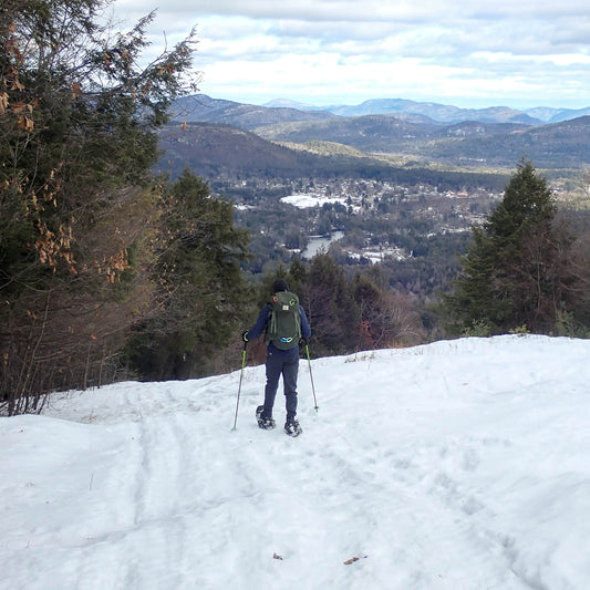 Going Up? Adventure and Breathtaking Views Await!