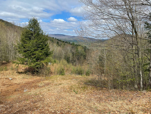 “Staying Alive, Staying Alive, Staying Alive”